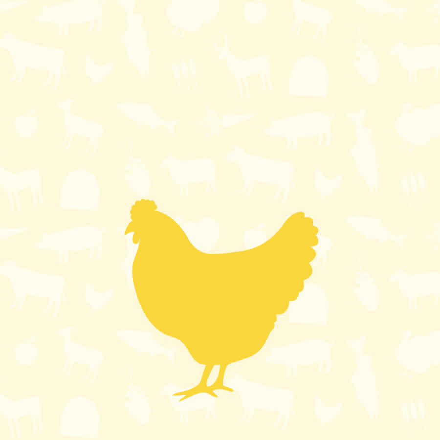 Chicken Dog Food | Mobile Collection Banner
