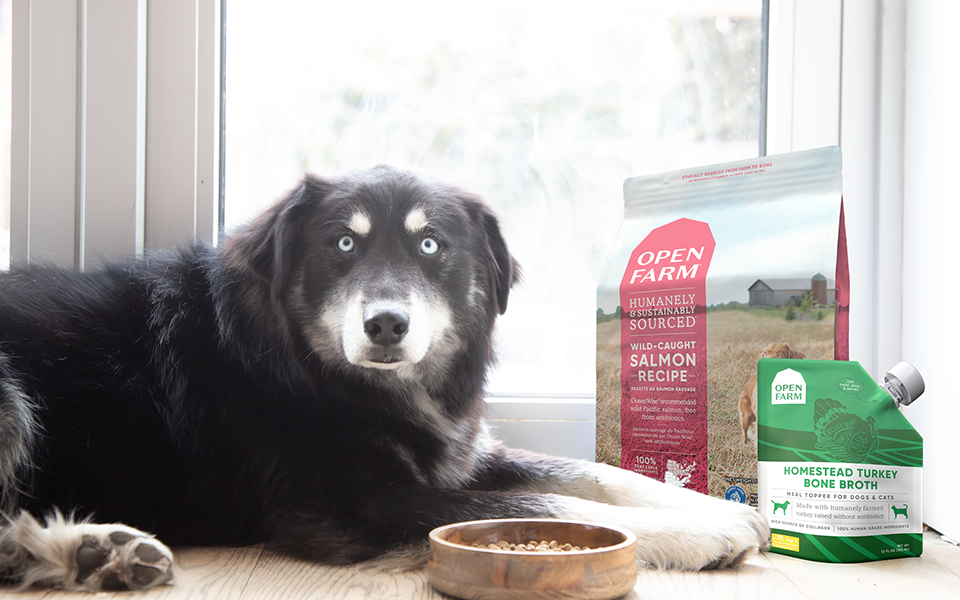 Black dog beside open farm products