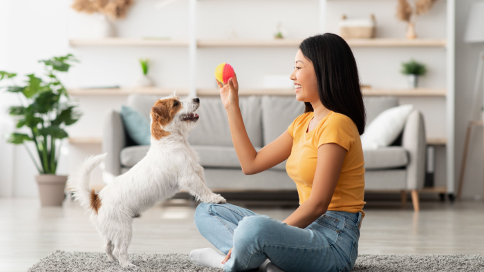 Woman training dog