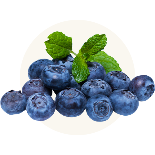 Organic Blueberries image