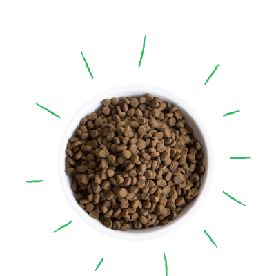 dry kibble in white bowl photographed from above with 100% Open Farm food icon