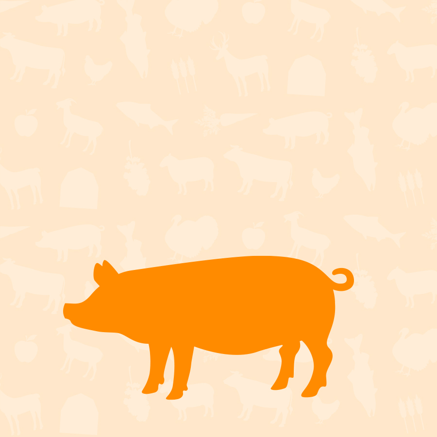 Humanely Raised, Sustainable Pork Based Dog Food Open Farm