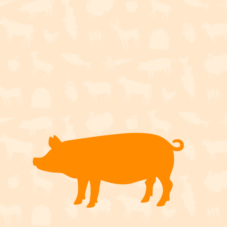 Pork Dog Food | Mobile Collection Banner