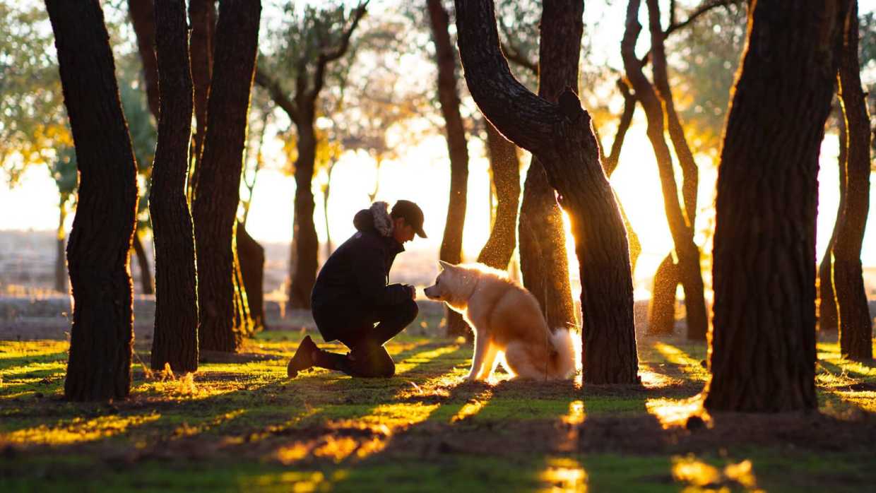 6 Ways to Be An Eco-Friendly Pet Owner