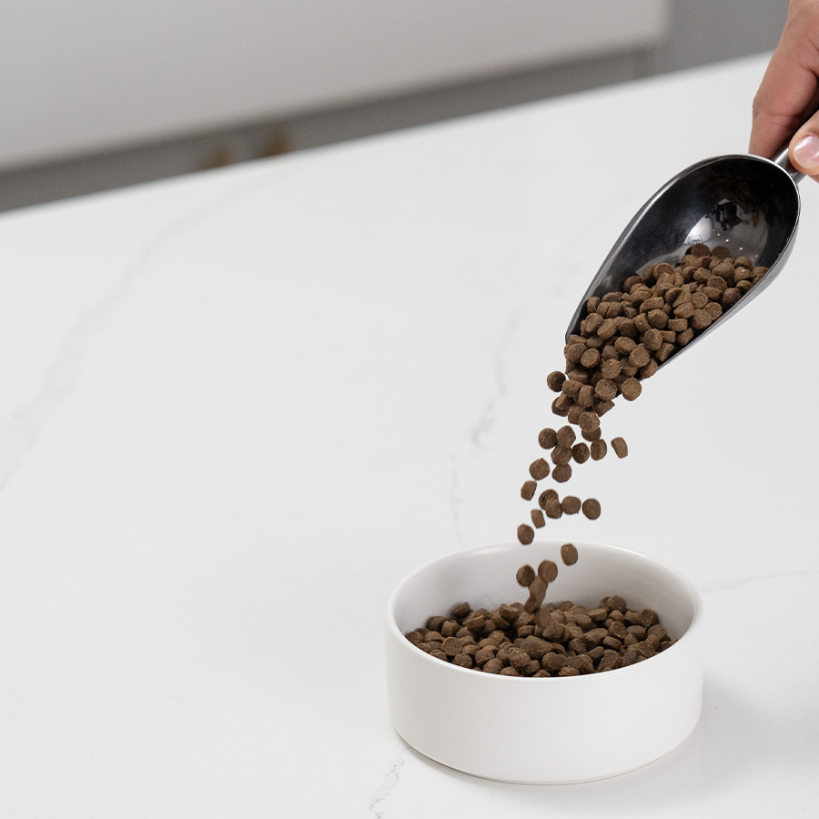 Goodbowl High Quality Kibble for Cats Open Farm