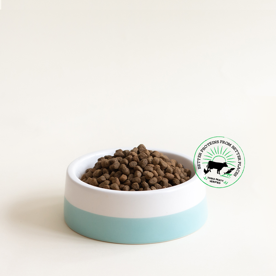 Grain-Free Dry Dog Food | Mobile Collection Banner