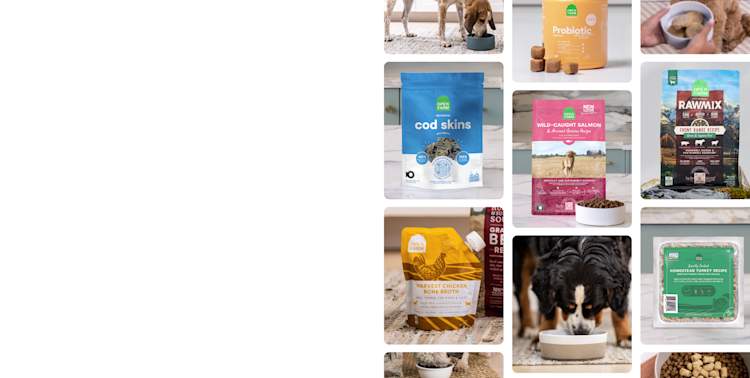 Healthy dog food sales store near me