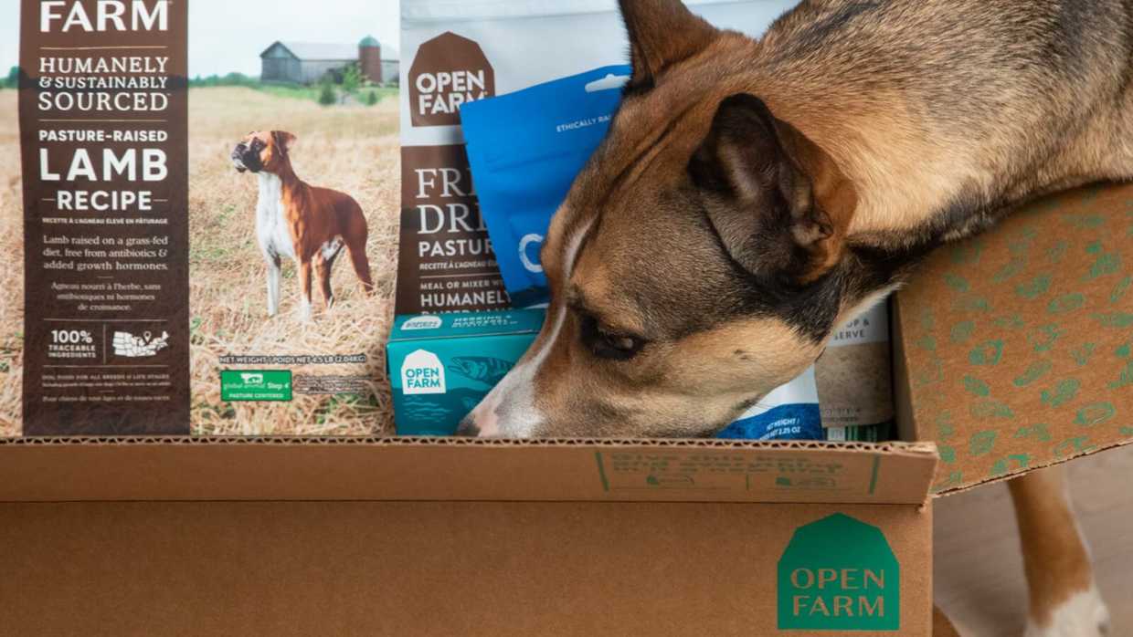 How to Read Dog Food Labels