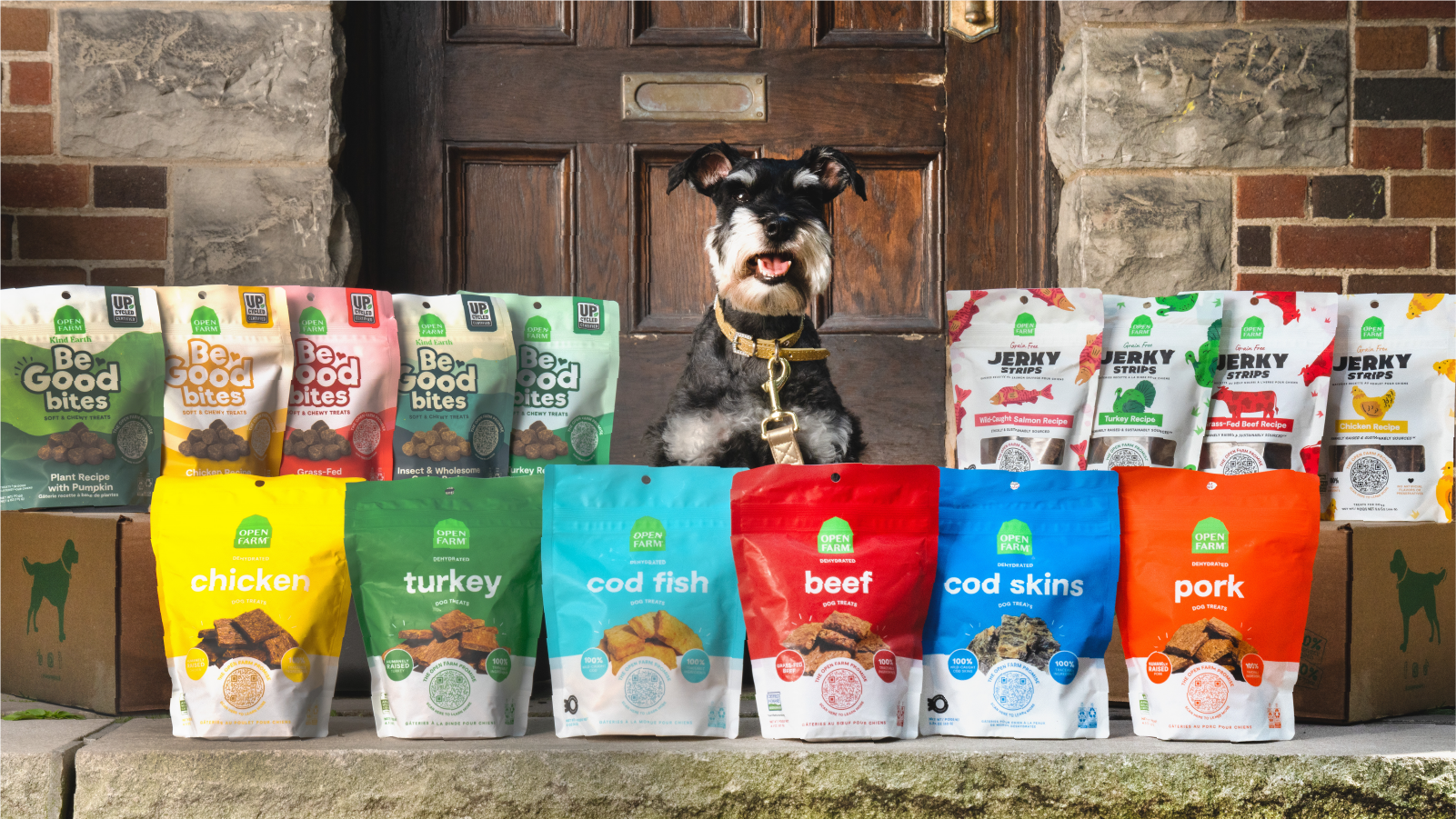 The Ultimate Guide to Irresistible Dog Treats Open Farm