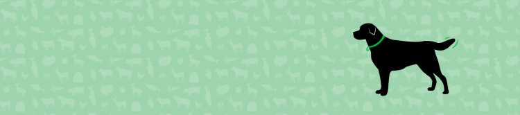 Dog Food Mixers & Toppers Collection Banner