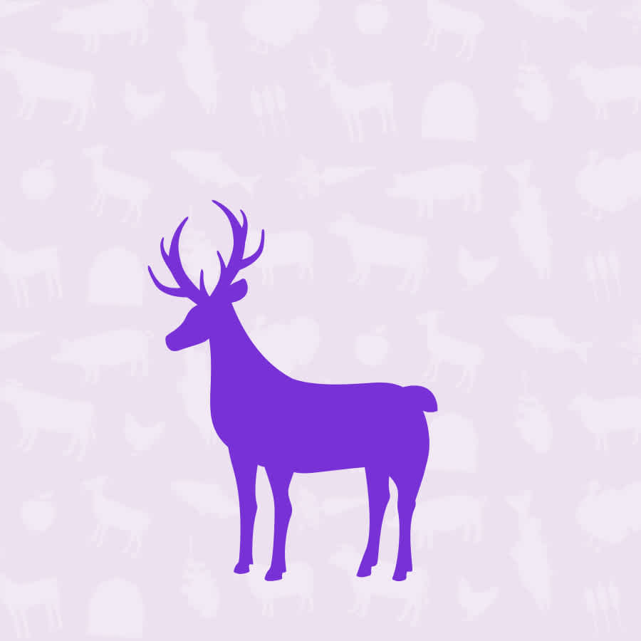 Venison Dog Food | Mobile Collection Banner