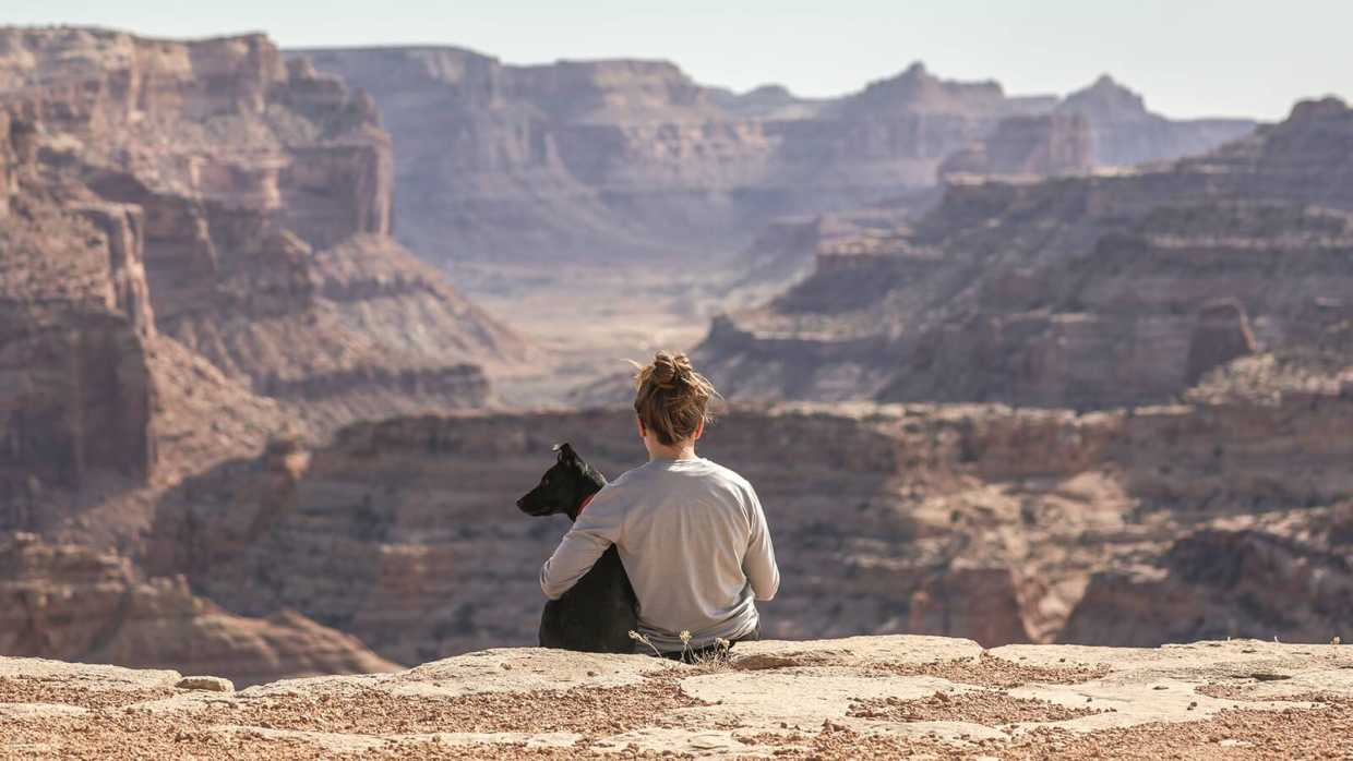 What A Dog's Loyalty Can Teach Us