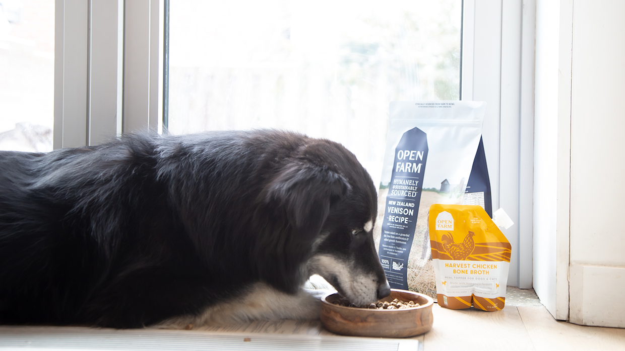 The Best Dog Food Toppers For Picky Eaters Open Farm the-best-dog-food-toppers-for-picky-eaters-open-farm