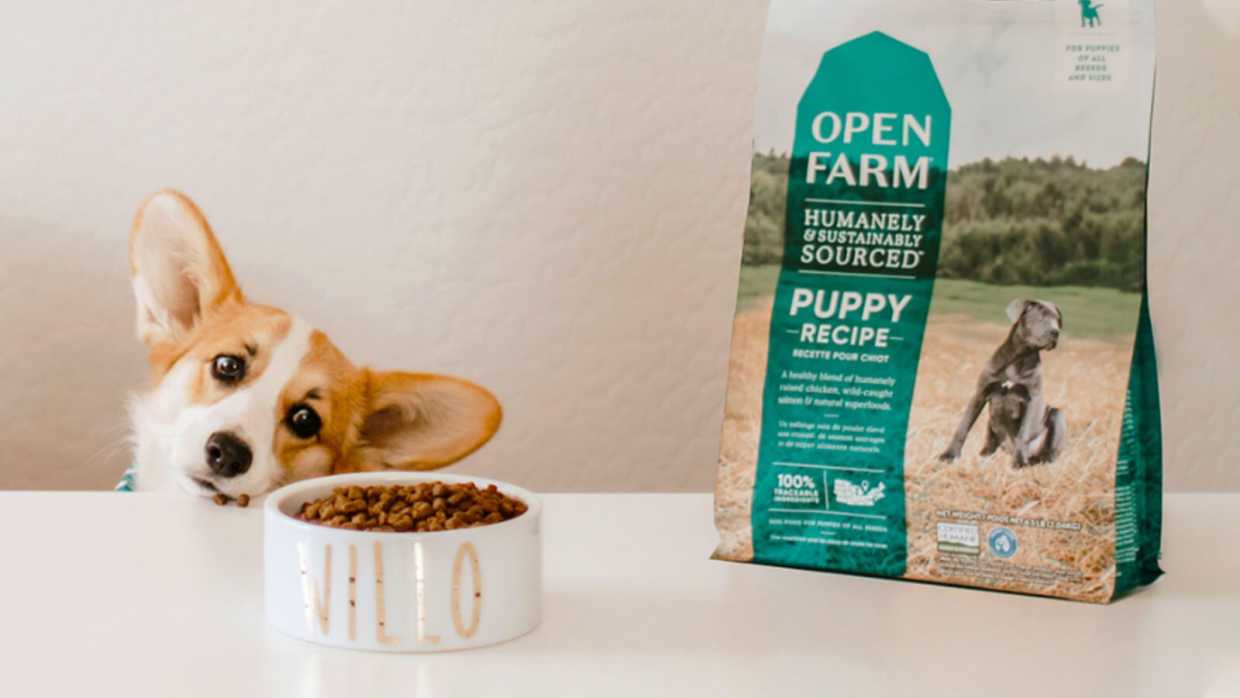 How To Select The Best Puppy Food