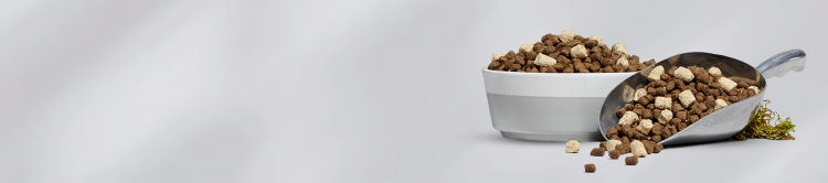 RawMix for Dogs Collection Banner