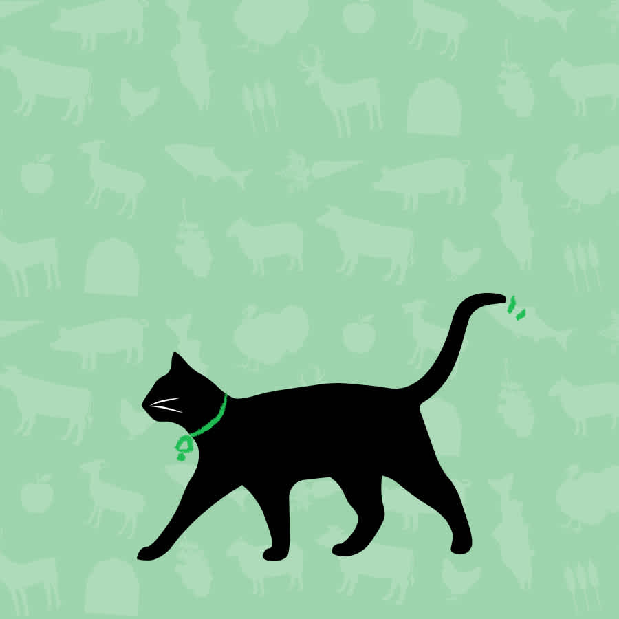 Cat Food Mixers & Toppers | Mobile Collection Banner