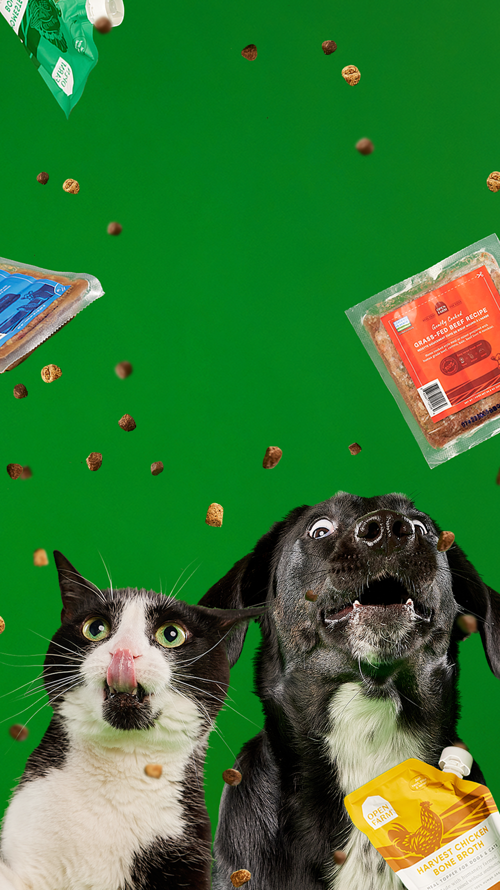 Discount pet sales food near me