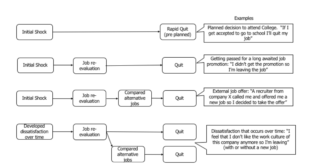 Unfolding model of turnover