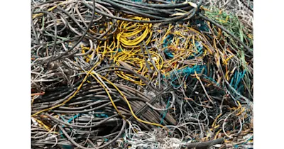 The Freshness Factor: Why Staying Current Matters in Network Management