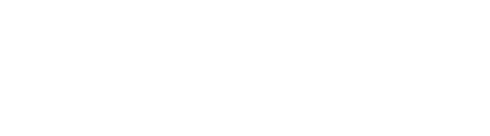 allpoints fibre