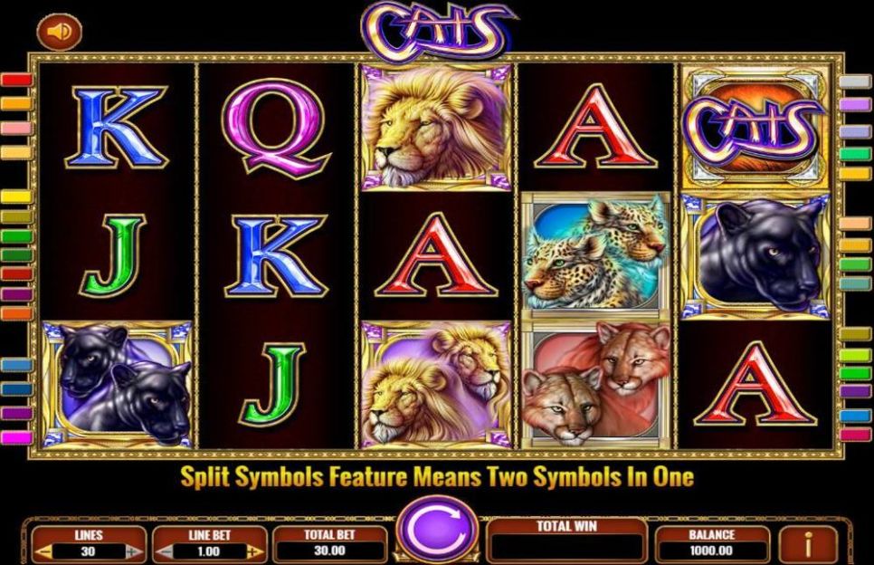 cats slot machine jackpot