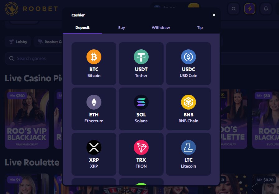 Métodos de pago en Roobet mostrando opciones de criptomonedas