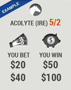 Express Odds - The Affordable Solution for Sports Betting