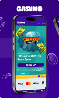 Zoccer Casino Gaming Interface