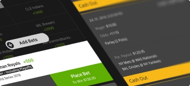Ipl Betting App 2022: Back To Basics