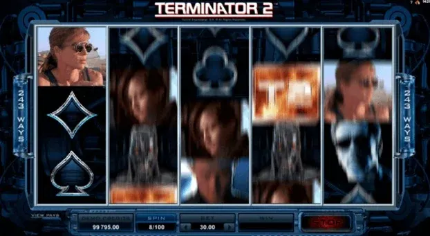 Screenshot of Ruby Fortune Casino Terminator II