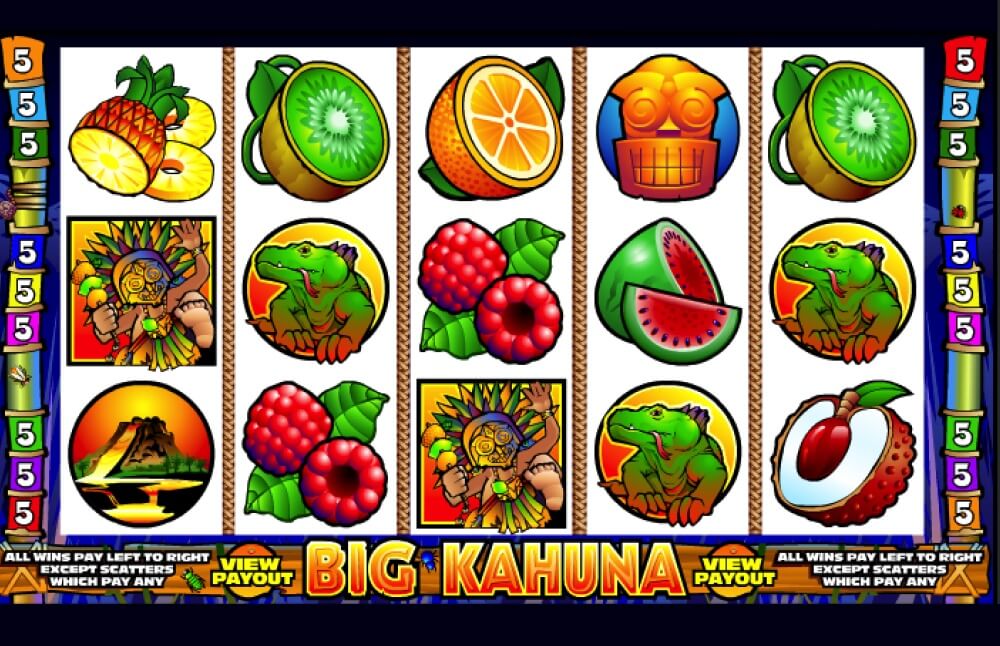 Big Kahuna screenshot 1