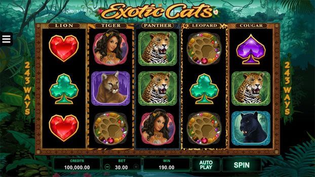 Screenshot of exotic cats cozino Thumbnail