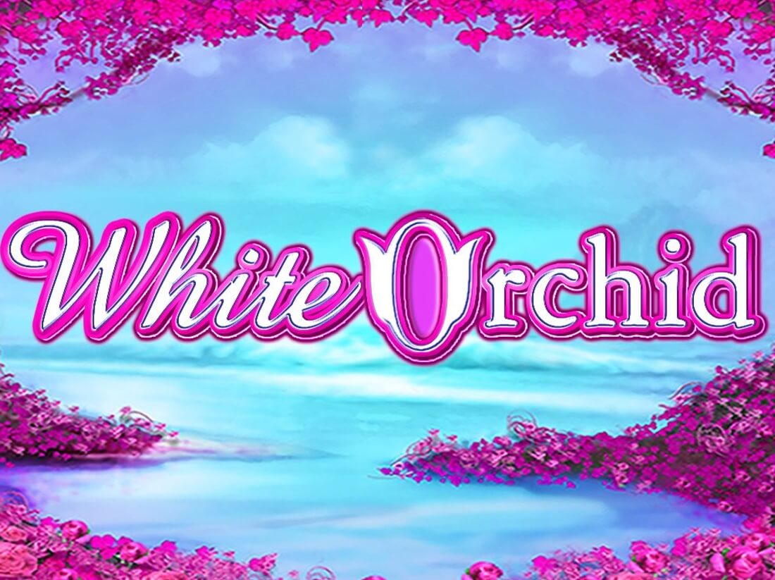 free slots white orchid