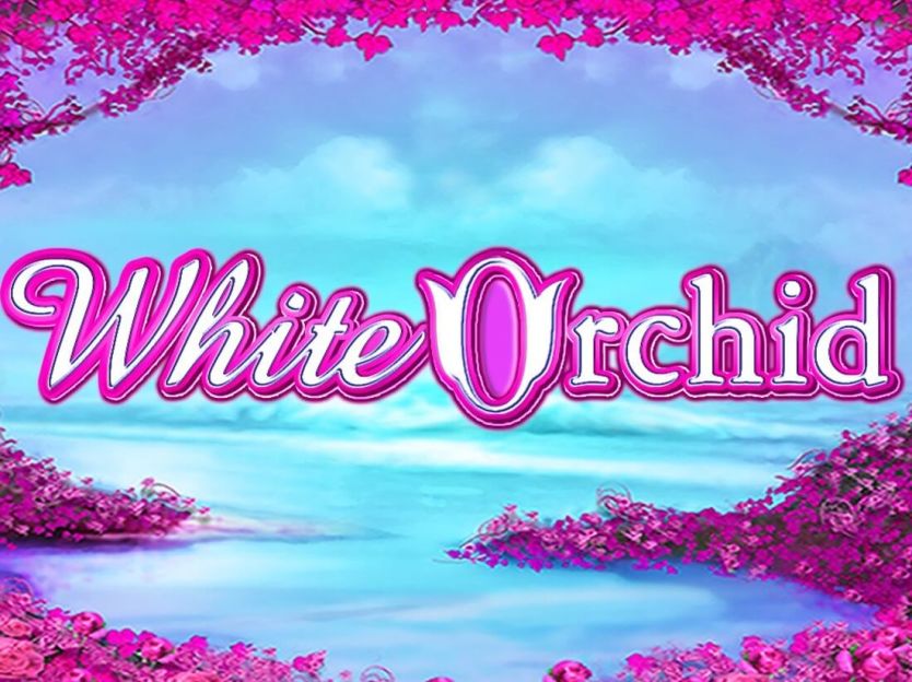 White Orchid screenshot 1