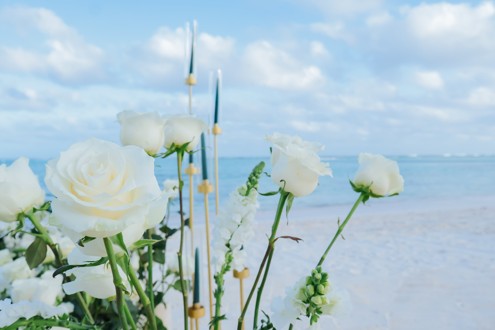 White Serenity: detalhe da montagem 2 em uma praia privativa de Uvero Alto, Punta Cana.