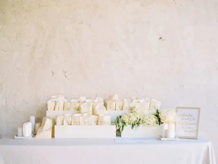 PUNTA CANA WEDDING PLANNERS