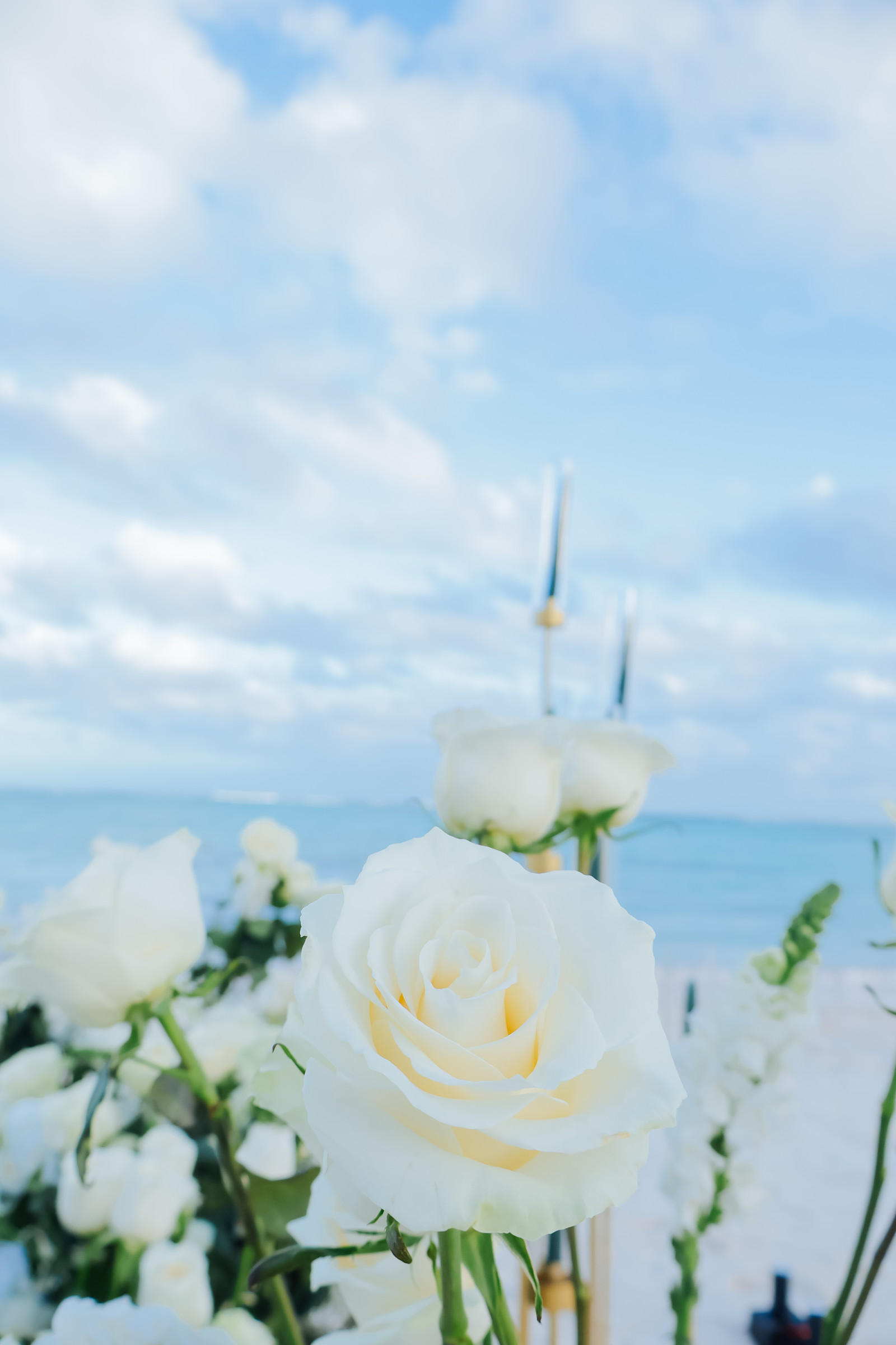 White Serenity: detalhe da montagem 8 em uma praia privativa de Uvero Alto, Punta Cana.