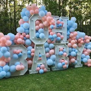 Gender Reveal