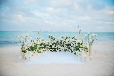 Hotel Riu Republica Romantic Punta Cana Proposal Planning