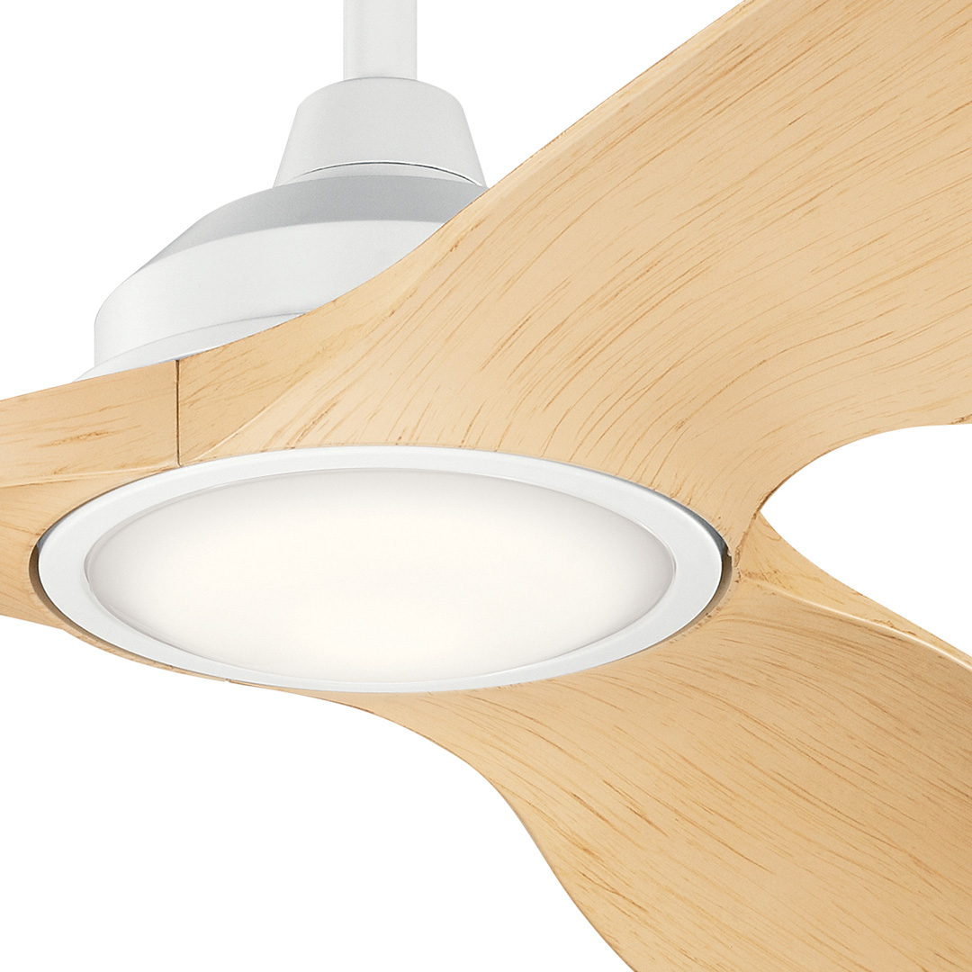 Imari™ LED 65