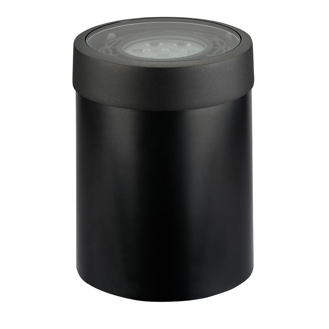 Well Light with Brass Trim Par36 in Black Brass | Kichler Lighting