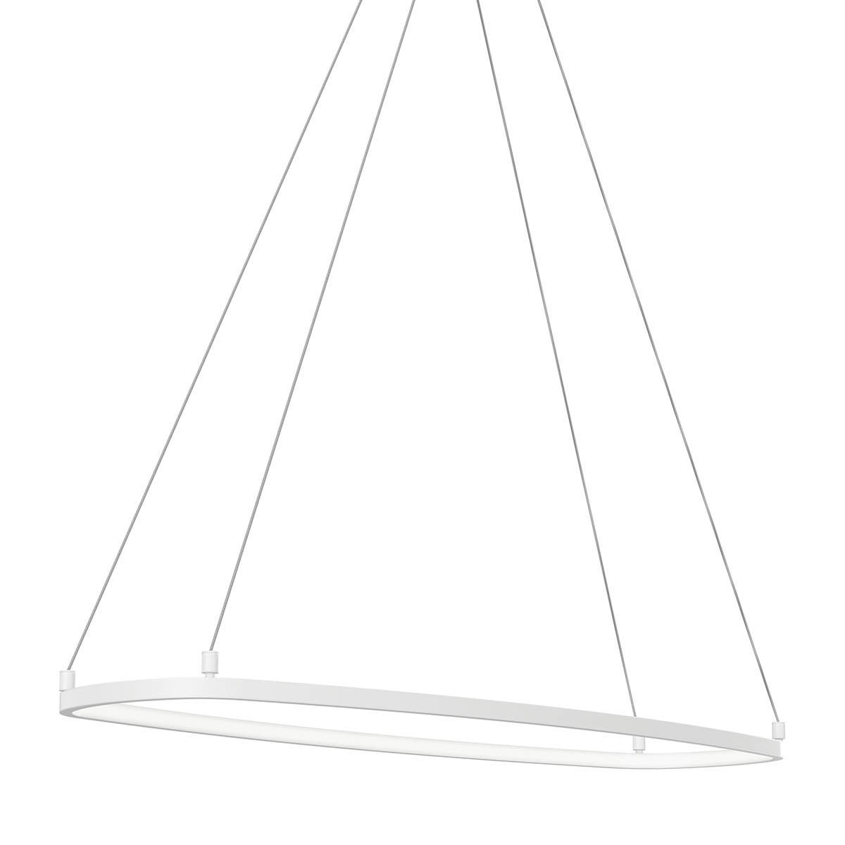 Koloa 41