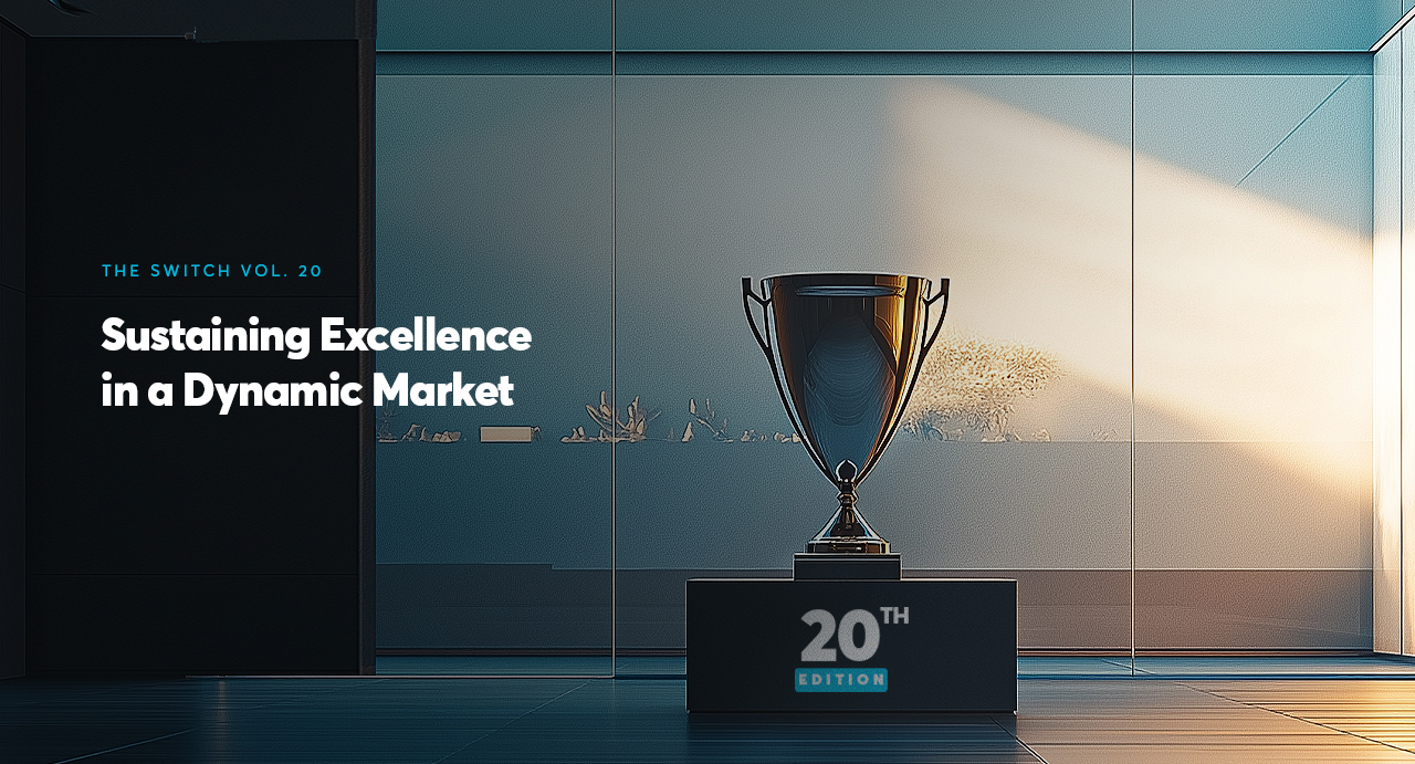 VOL 20 - Sustaining Excellence in a Dynamic Market image