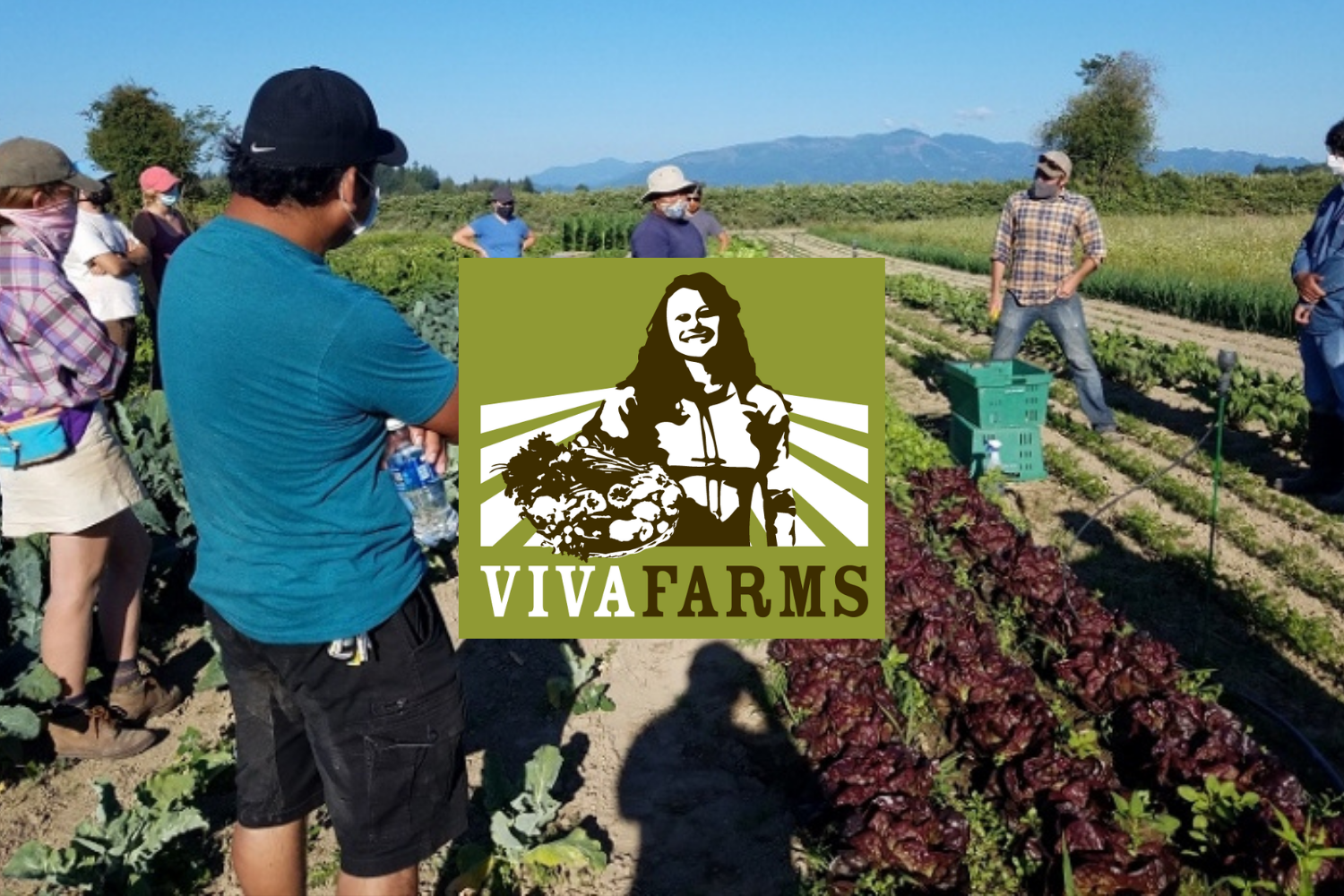 Viva Farms