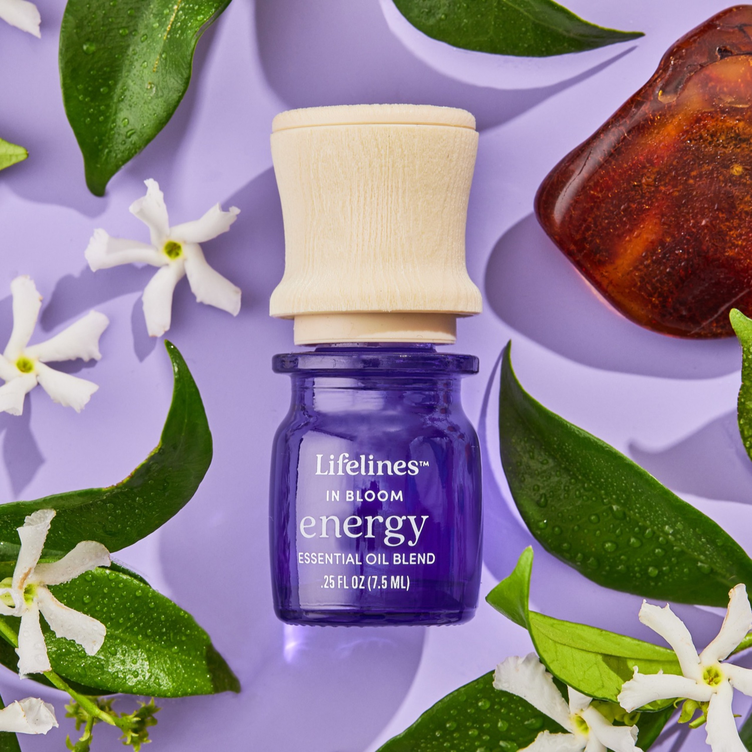 Ingredients | Lifelines