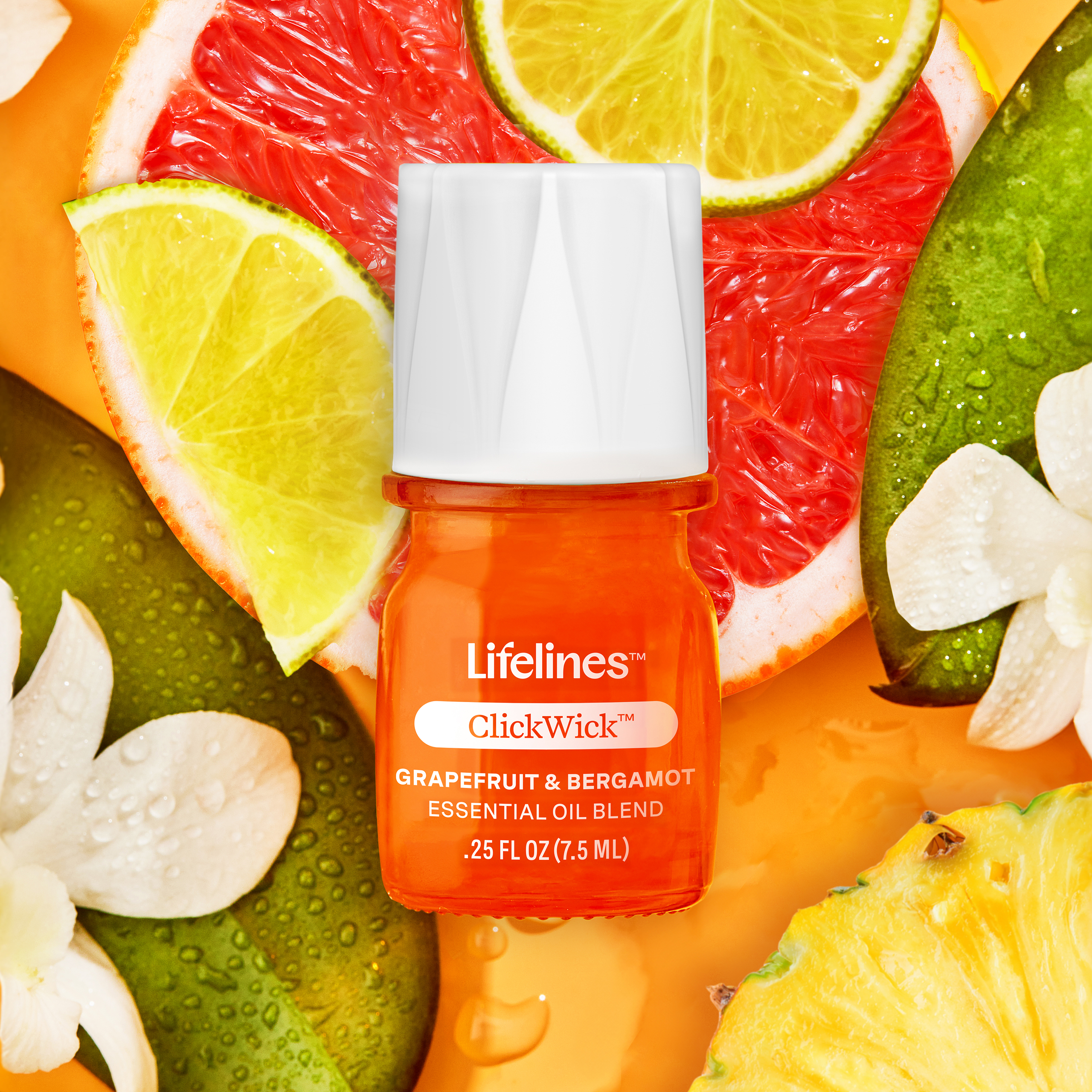 ClickWick-CitrusGrove-Web.jpg