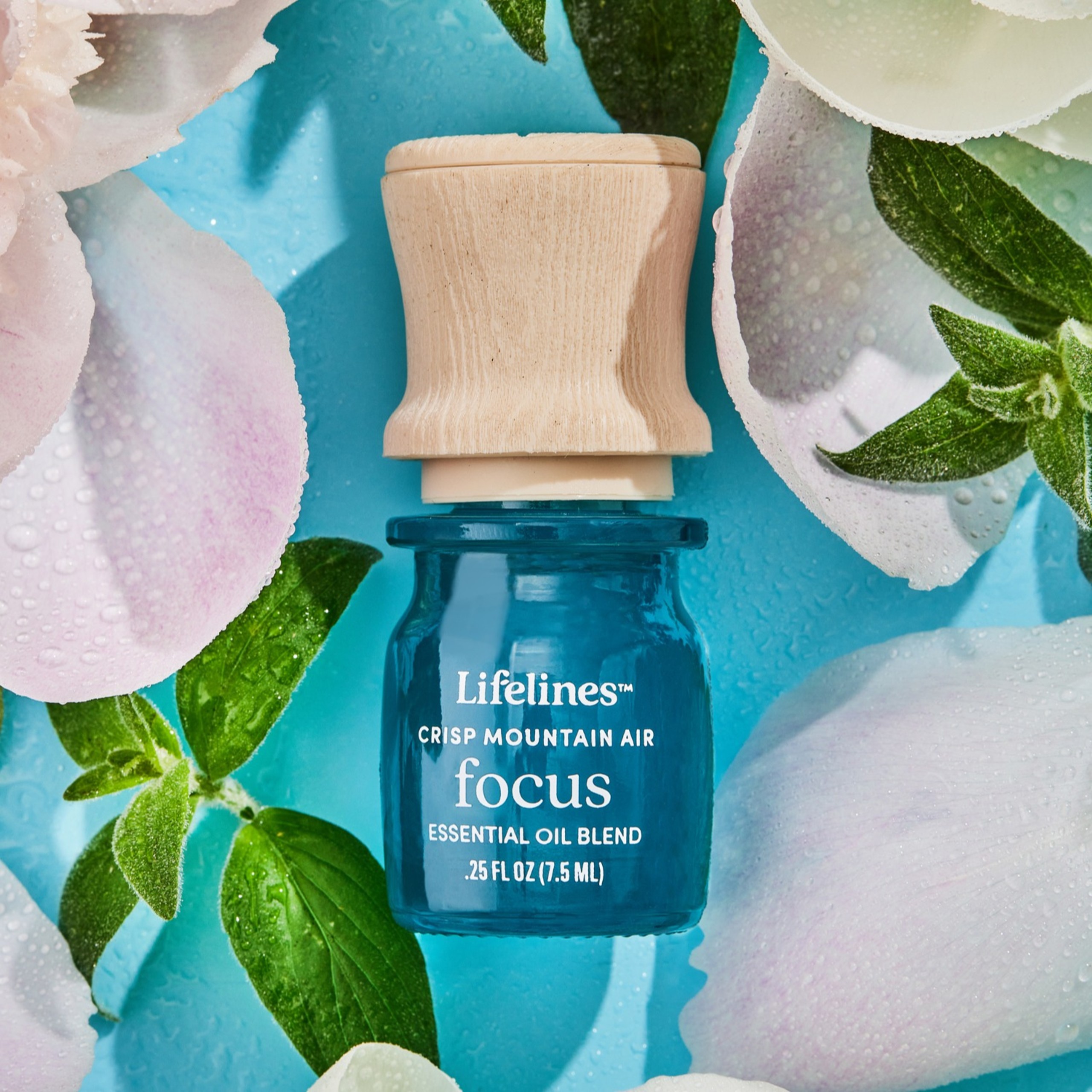 Diffusers | Lifelines