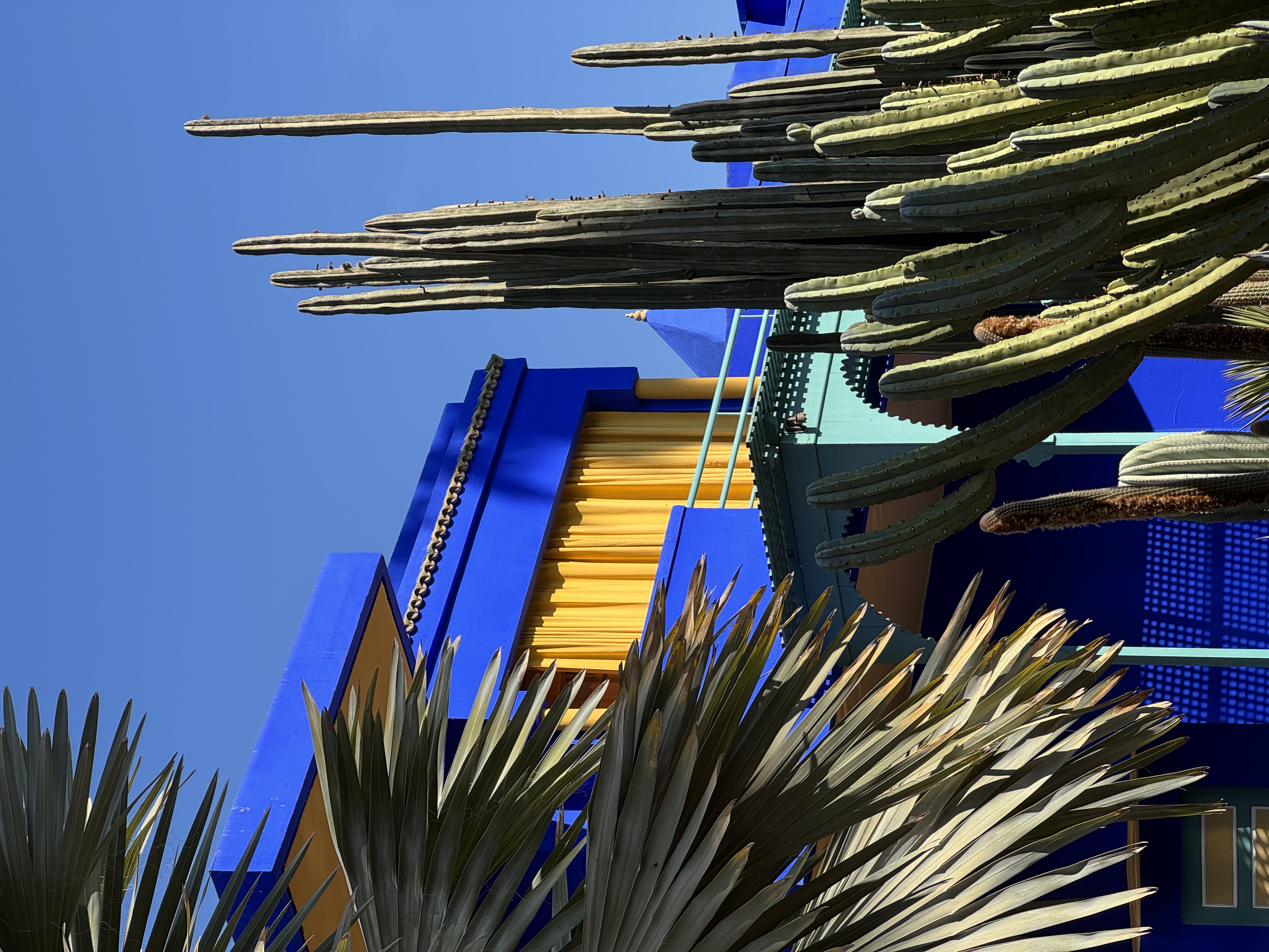 Marrakechin matkavinkit: Jardin Majorelle on yksi Marrakechin suosikkinähtävyyksistä, ja sen mukaan on jopa nimetty värisävy majorellensininen.