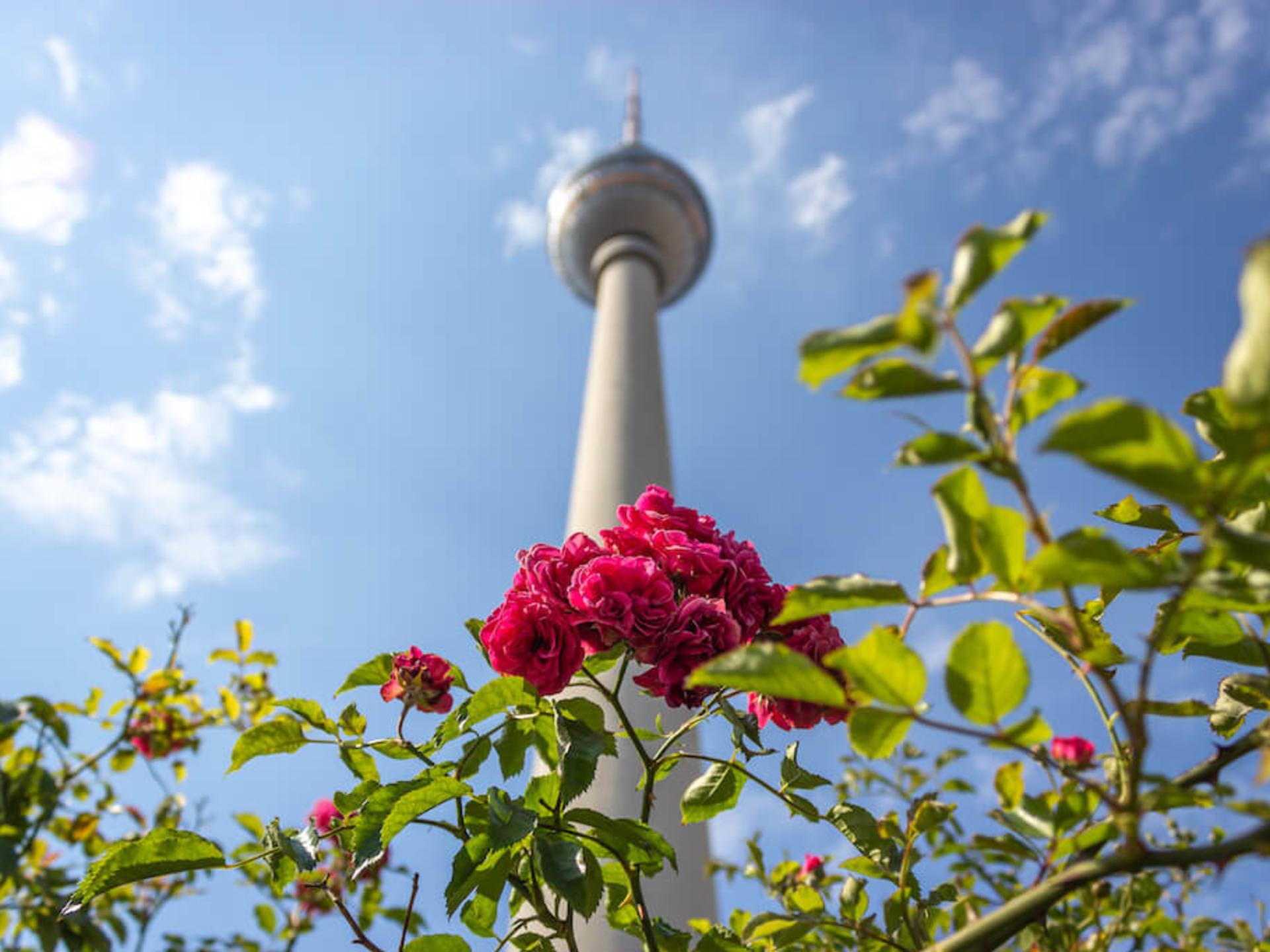 Berlin Fernsehturm