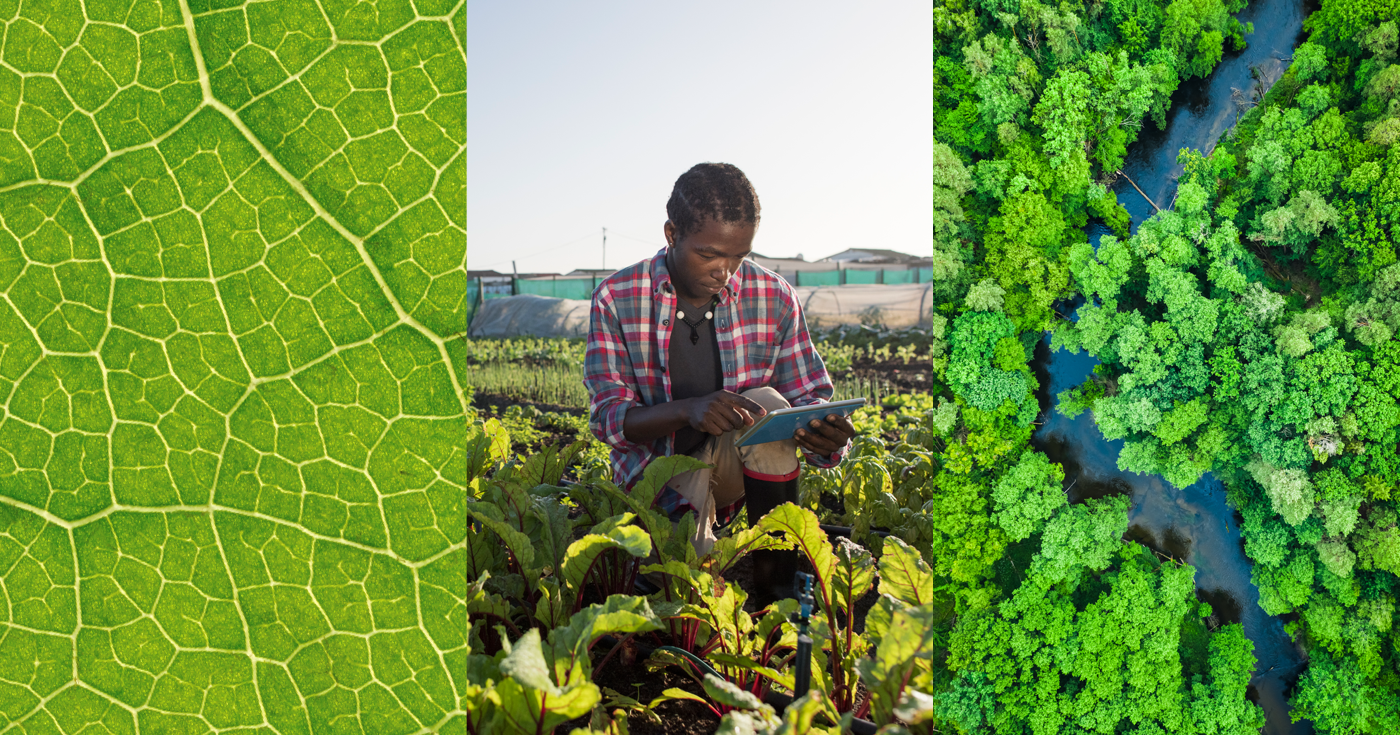 Climate & agriculture